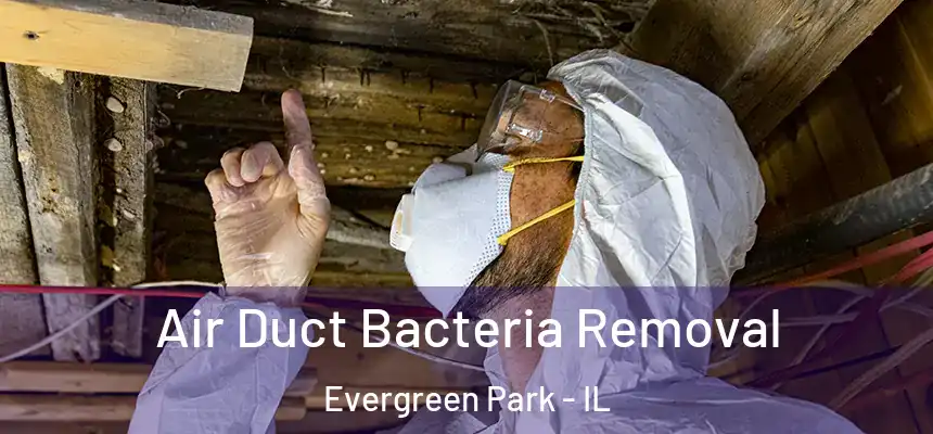  Air Duct Bacteria Removal Evergreen Park - IL
