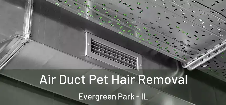 Air Duct Pet Hair Removal Evergreen Park - IL