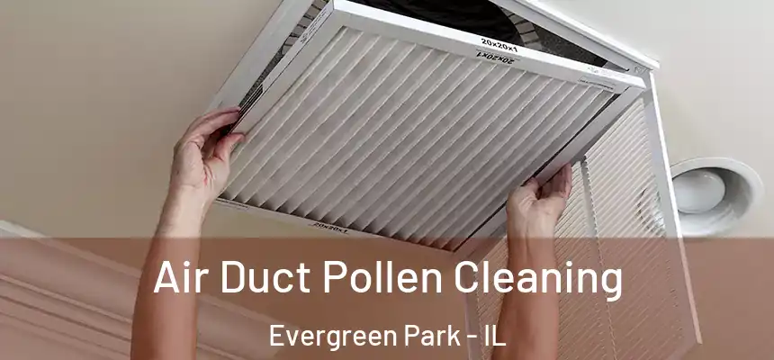  Air Duct Pollen Cleaning Evergreen Park - IL