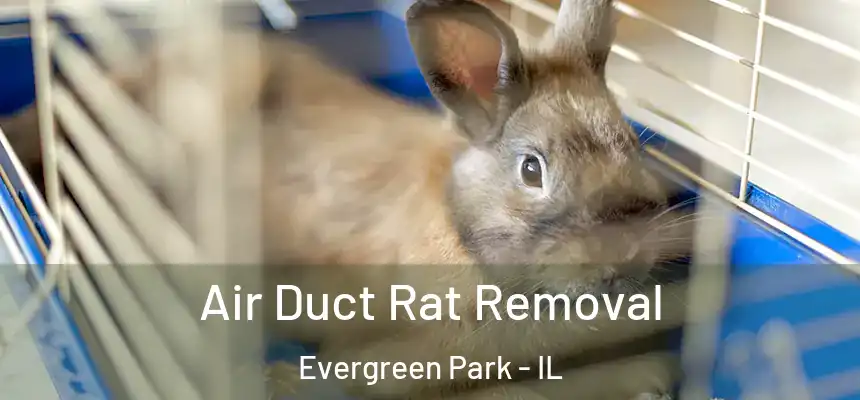 Air Duct Rat Removal Evergreen Park - IL
