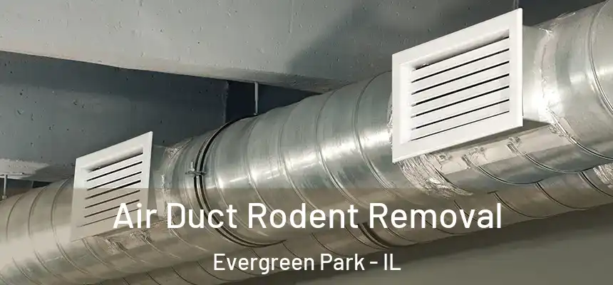 Air Duct Rodent Removal Evergreen Park - IL