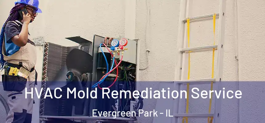  HVAC Mold Remediation Service Evergreen Park - IL