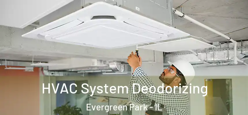 HVAC System Deodorizing Evergreen Park - IL