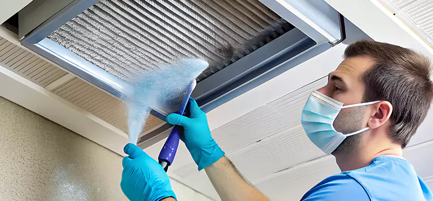 Proactive Dryer Vent & Auxiliary Duct Pollen Cleanup in Evergreen Park, IL