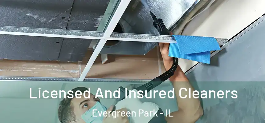  Licensed And Insured Cleaners Evergreen Park - IL