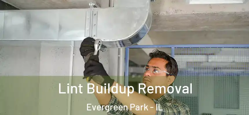  Lint Buildup Removal Evergreen Park - IL