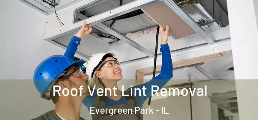 Roof Vent Lint Removal Evergreen Park - IL