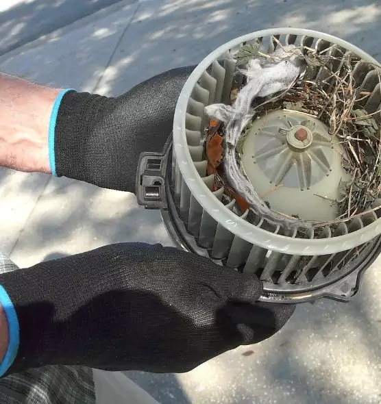 About Air Duct Rat Removal in Evergreen Park, IL