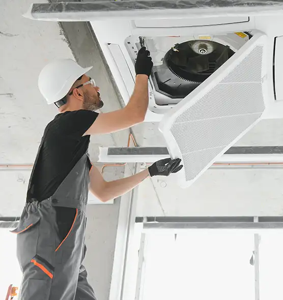 About Air Duct Rodent Removal in Evergreen Park, IL