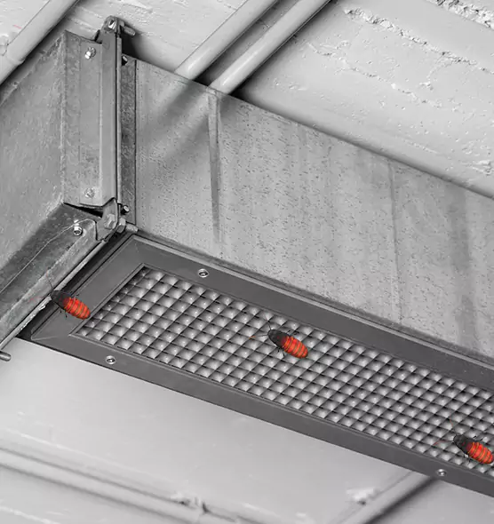 Affordable Insect Removal from Air Ducts in Evergreen Park, IL