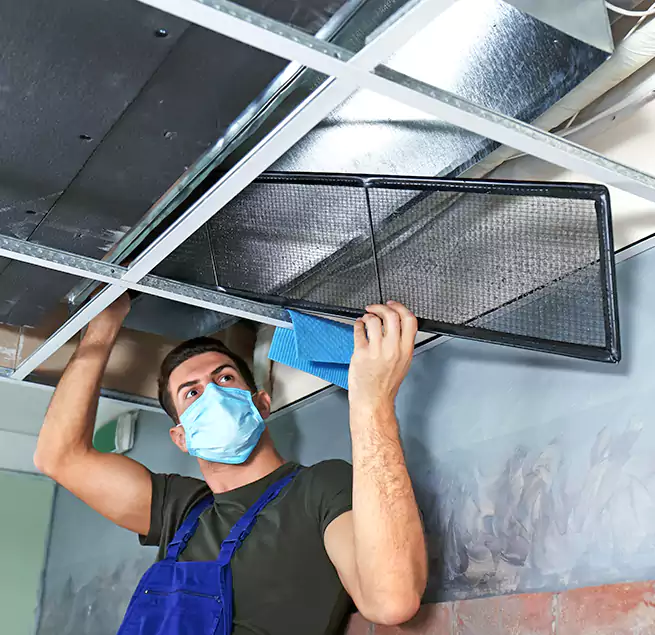 Why Homeowners Businesses Trust Us in Evergreen Park, IL