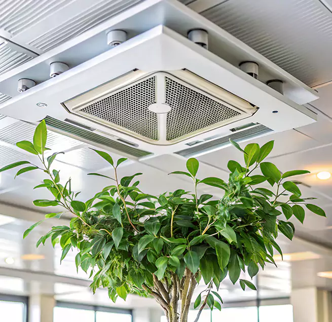 Why Homeowners & Businesses Trust Us in Evergreen Park, IL?