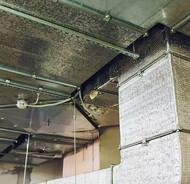 Why Homeowners & Businesses Trust Us in Evergreen Park, IL?